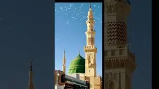 Usa automation story Live Stream