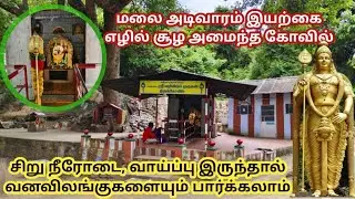 Murugan Temple | LOWER CAMP | CUMBUM | THENI #murugan #temple #murugan #temple #dio