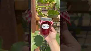 Let&rsquo;s make some Plum Jam #canning #homemade #homegrown #homestead #jam