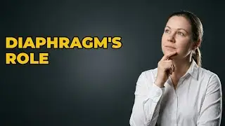 What Does Stage 2 Lymphoma Mean For Diaphragm Location?