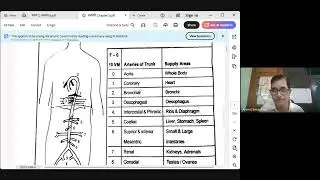 Treatment Protocols of parts of body based on Circulation(3) as depicted in  Dhanwantari  Dt 3 11 25