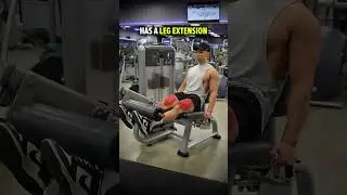 Use The Leg Extension to Work Your QUADS, HAMSTRINGS & GLUTES!