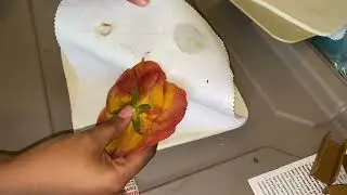 Drying Roses And Flowers In Microwave