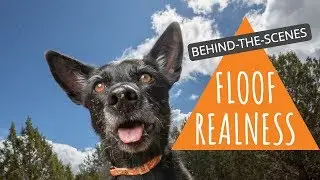 Behind the scenes pet photo shoot with AGOLDPHOTO at Best Friends Animal Sanctuary in Southern Utah