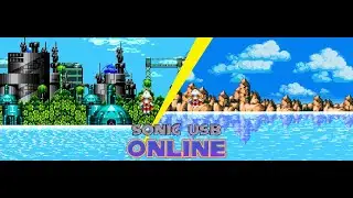 How to unlock Motobug jungle and Learned Flowers good future zone in Sonic USB Online [Guides]