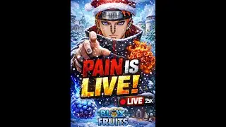 PAIN IS LIVE / LEVI HUNT V4 GIVEAWAY BLOXFRUIT ROBLOX #LIVE #SHORT #BLOXFRUIT