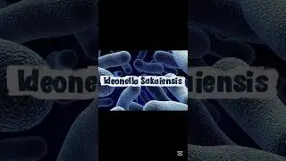 plastic eater bacteria#shortvideo #pollution #معلومات #story #اكسبلور #biology