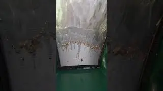 Prueba Compact Sieve 1