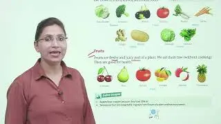 Ch 3 | Good Grade Books  | Science | Class 1 | Uses Of Plants | For Children