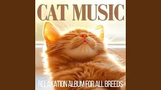 Purring Companion: Music to Calm Your Cat