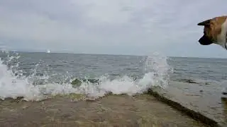 Klinta Öland 2023-07-12