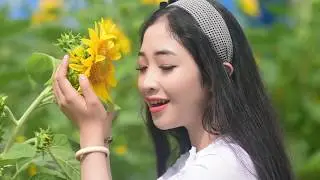 Ý thức em mặt trời tỏ rạng - Thích Nhất Hạnh