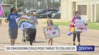 DEI crackdown could pose threat to college education