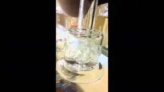 Toro Mico w/ Shower Head