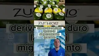 Lo zucchiolo