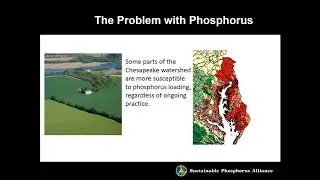 Promises and Perils of Water Quality Trading