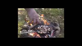 Survival and cooking: fried chicken #shorts # #camping #bushcraft #survival