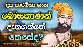 බෝසතුන් පාරමිතා පිළිබඳව දැනගත්තේ කෙසේද? | How did the Bodisatva know about Paramita?