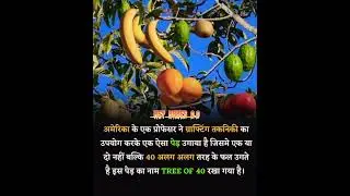 Tree of 40🎋//#treeof40#trendingshorts #shortsvideo#facts#knowledgefacts #Shorts#Short#youtubeshorts