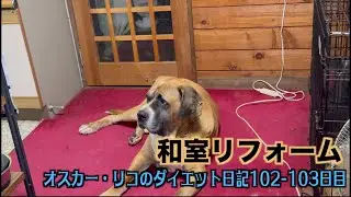 なぁこ家きて賑やかな我が家【オスカー・リコのダイエット日記102 103日目】