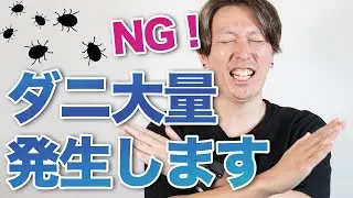 【絶対やめて！】ボールパイソン蛇がダニに犯されるケージの特徴３つ｜飼育環境