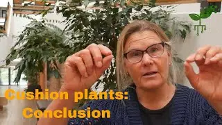 Cushion plants on Macquarie Island: conclusion - Climate & biosphere | Earth Hazards | meriSTEM