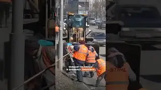 Зима без реагентов: красивый миф и жёсткая реальность.