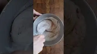 Fluffy Cocoa Sponge Cake (Genoise Style)