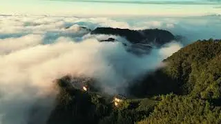 春風家。趴趴走 到杉林溪露自在｜杉林溪高海拔｜茶園景觀｜雲海夜景