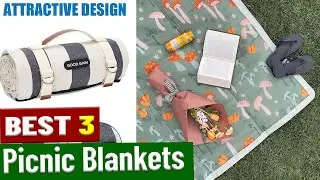 Picnic Blanket Showdown: We Tested 3 Top-Rated Mats