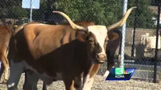 Sacramento to showcase region's local food options
