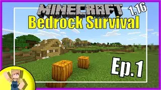 Minecraft Bedrock Survival Guide 1.16 Ep1 | Windows 10, XboxOne, PS4, Switch, MCPE