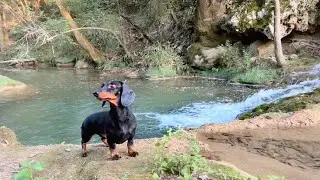 Our Holiday Diary| Swimming in the river.