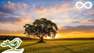Calm &bull; Relaxing Piano Music & Bird Sounds | Peaceful Sleep Music