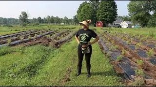🌿The Hydrangea Field is Planted 🌿: More Plants from Proven Winners 🪴 : Flower Hill Farm 💐