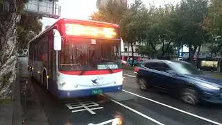 (指南客運) 金龍低地板公車 3 0 8 往捷運劍潭站 F A A - 1 1 6 捷運芝山站(文林) 攝