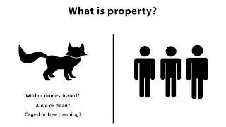 Law School Explained: Property Overview