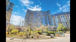 952 23Cox youtube short video