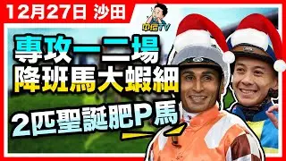 【中佬賽馬貼士】12月27日沙田日賽｜專攻一二場｜降班馬施虐弱組，大蝦細，推薦呢2匹肥P馬 ｜R1 快放最著數#賽馬賠率#賽馬直播 #賽馬貼士#冷馬#高風險#高回報#提款馬#賽馬直擊#梁家俊#田泰安