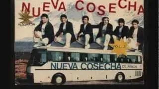 LA NUEVA COSECHA - NOCHE DE PASION