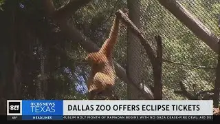 Dallas Zoo invites North Texans to watch the total solar eclipse
