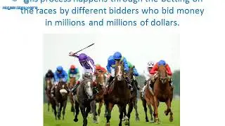What&rsquo;s So New about the Racenite Events Being Held All across the Globe Now