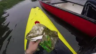 Paddle and Pick - Un-messing about on the River