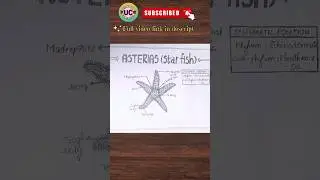 How to draw Asterias step by step#shorts #youtubeshorts #tending ..