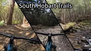 MTB Trail Adventure in South Hobart