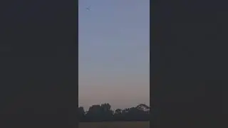 Pair of eyes in the sky - Bird of Prey