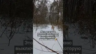 зашла на 5 мин в соцсети #funny #happy #рек #юмор #приколы #жиза #акита #akita #youtube #tiktok #dog