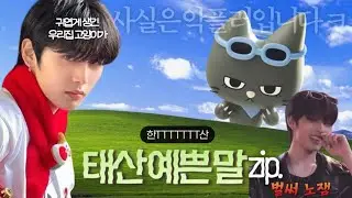 우리집 고양이가 사실 악플러입니다 ㅋ 태산 예쁜말 모음집 .zip #태산 #taesan #보넥도 #보이넥스트도어 #예능 #웃긴 #악플러 