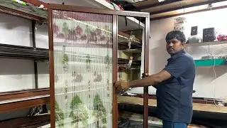 Pleted mosquito door sliding mosquito net door Aluminium mosquito net door