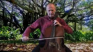 Hungarian Rhapsody # 2 Cello Cover